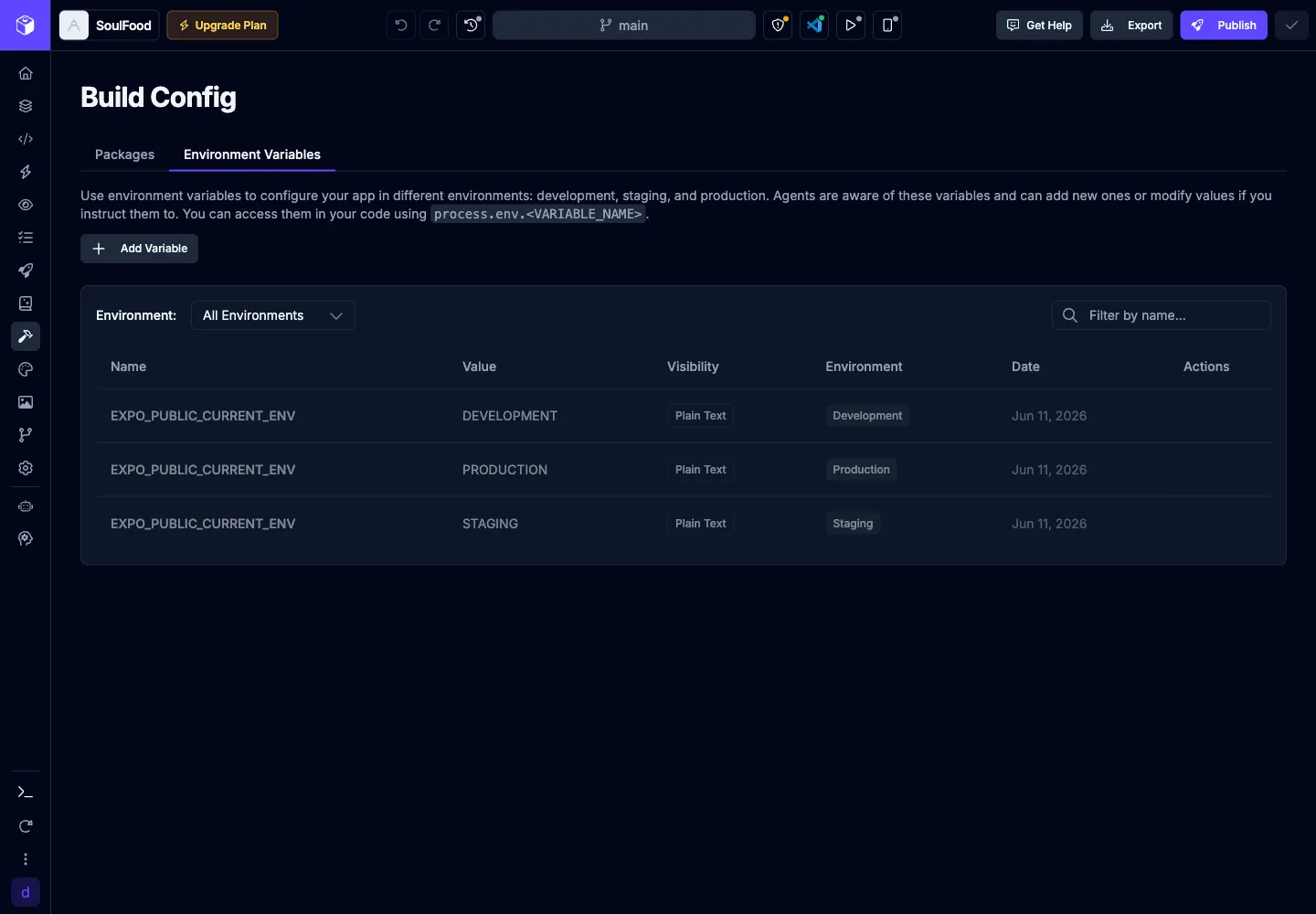 Build Config Environment Variables